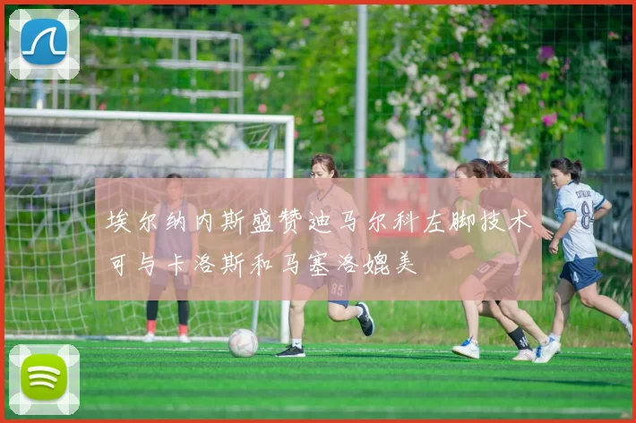埃尔纳内斯盛赞迪马尔科左脚技术可与卡洛斯和马塞洛媲美